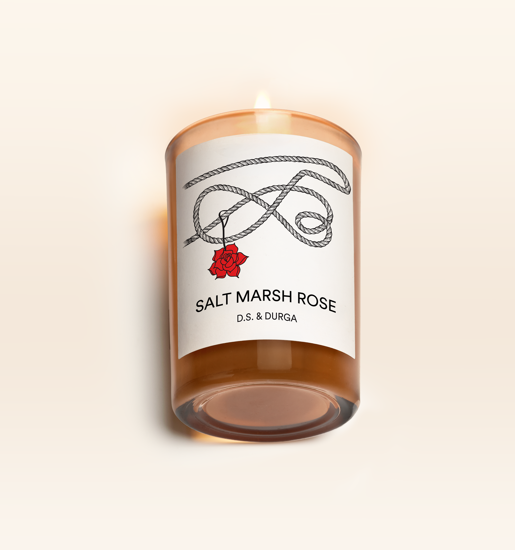 Salt Marsh Rose