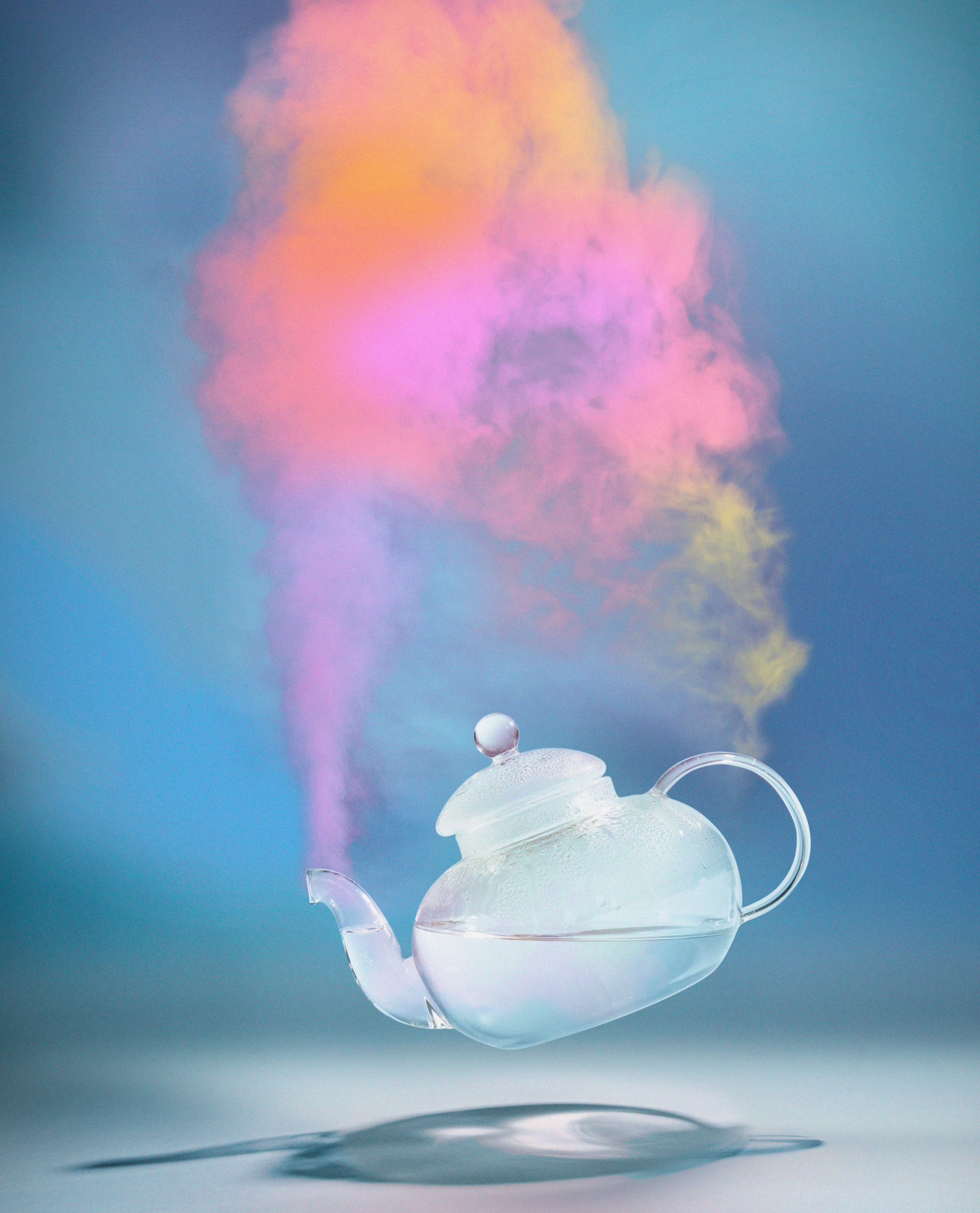 Steamed Rainbow