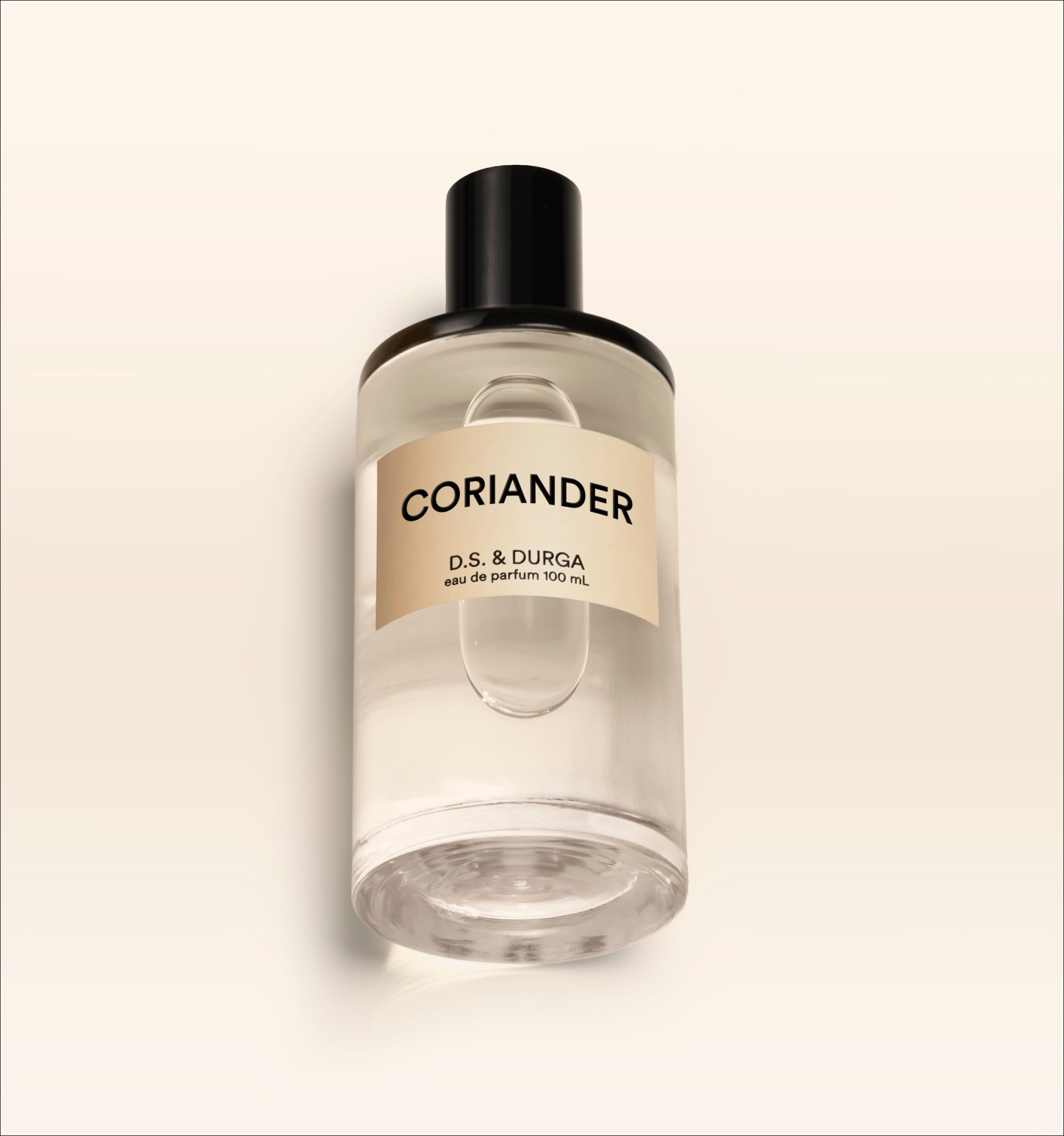 Coriander