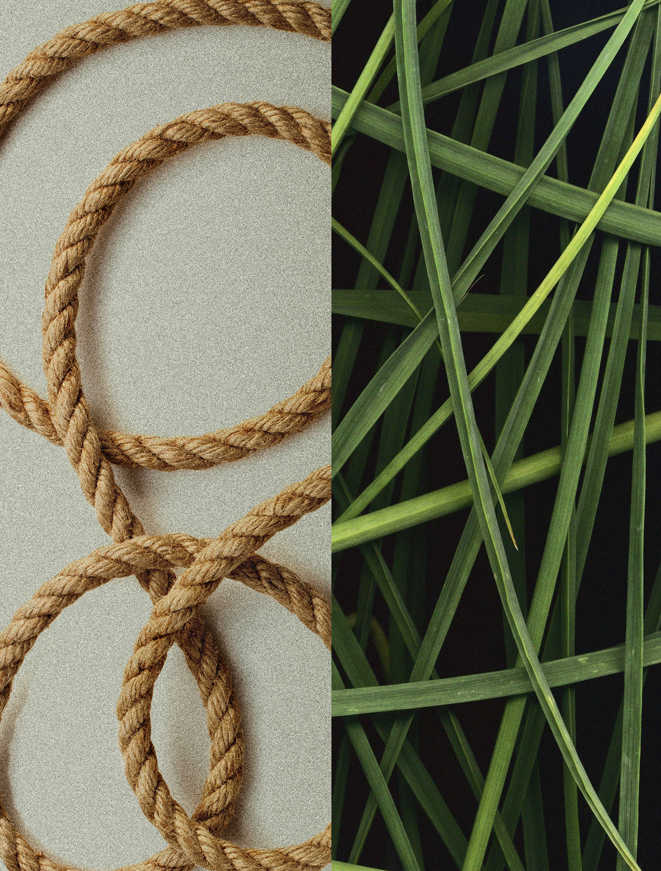 Cowboy Grass
