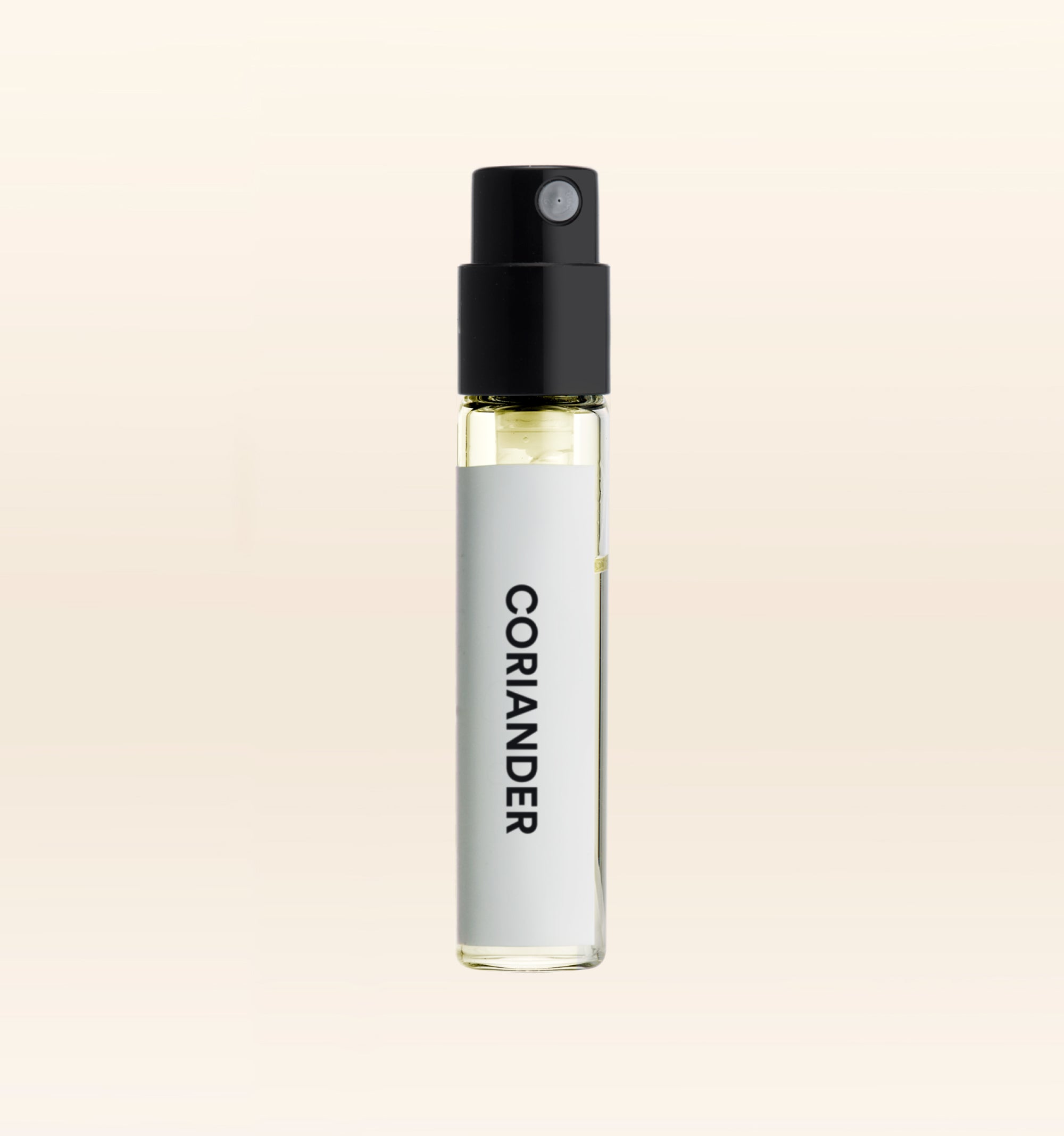 Coriander